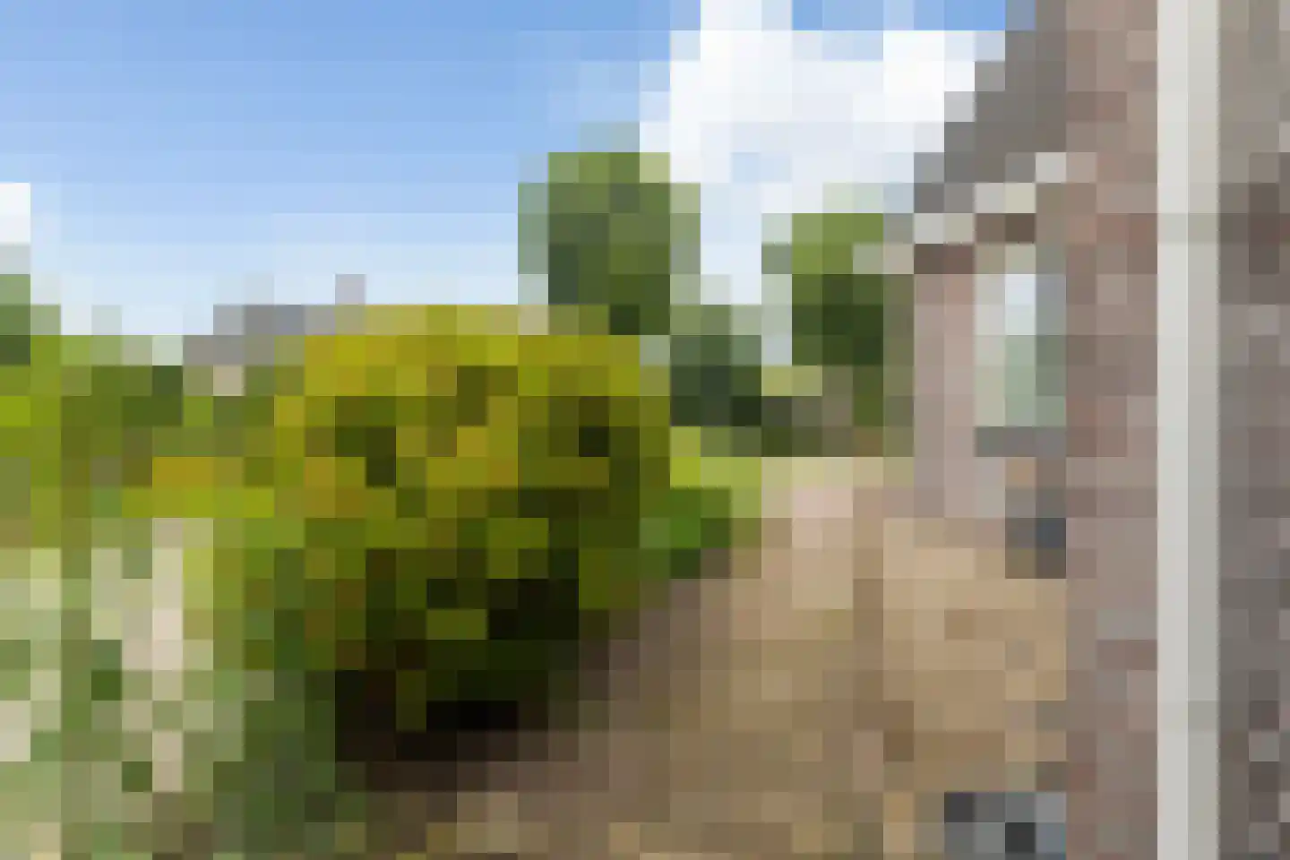 Rjochthússtrjitte 37 Rinsumageast thumbnail 49