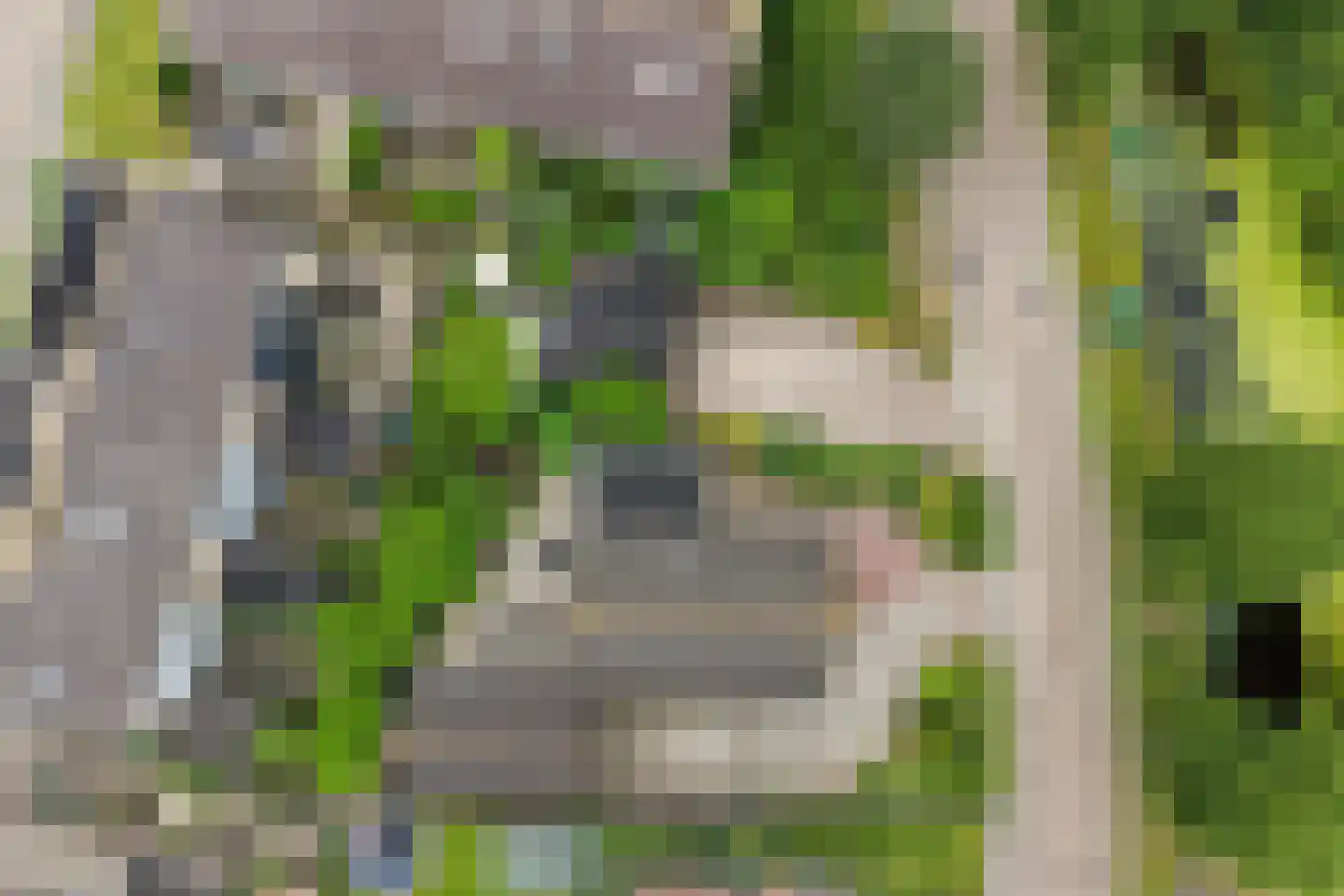 Rjochthússtrjitte 37 Rinsumageast thumbnail 50