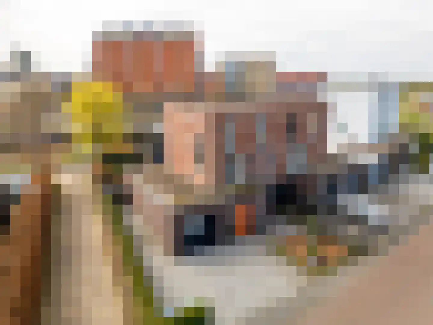 Roald Amundsenstraat 61 Almere thumbnail 40