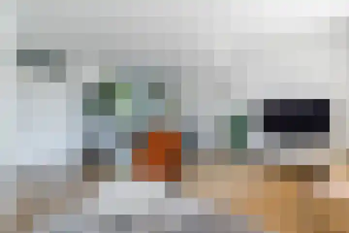 Roald Dahllaan 15 Eindhoven thumbnail 12