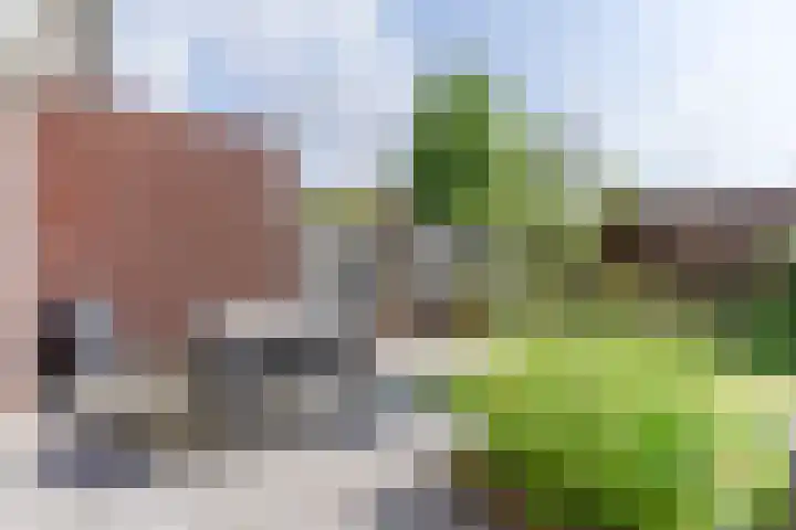 Roald Dahllaan 15 Eindhoven thumbnail 16