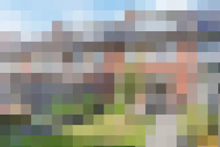 Roald Dahllaan 15 Eindhoven thumbnail 17