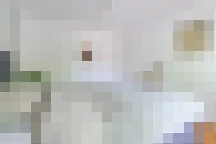Roald Dahllaan 15 Eindhoven thumbnail 20