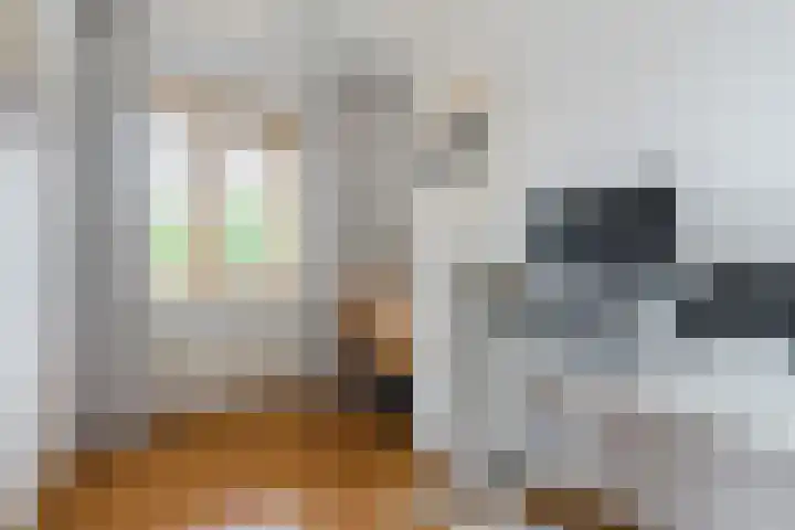 Roald Dahllaan 15 Eindhoven thumbnail 23