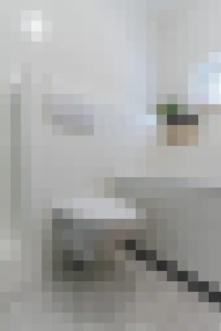 Roald Dahllaan 15 Eindhoven thumbnail 27