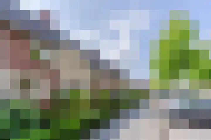 Roald Dahllaan 15 Eindhoven thumbnail 5