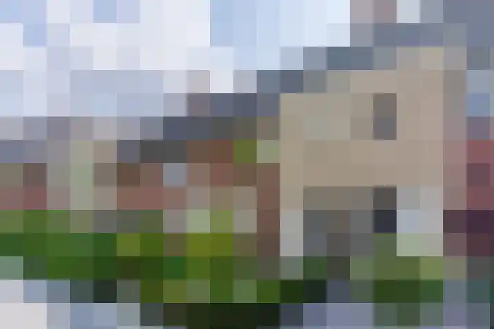 Roald Dahllaan 15 Eindhoven thumbnail 6