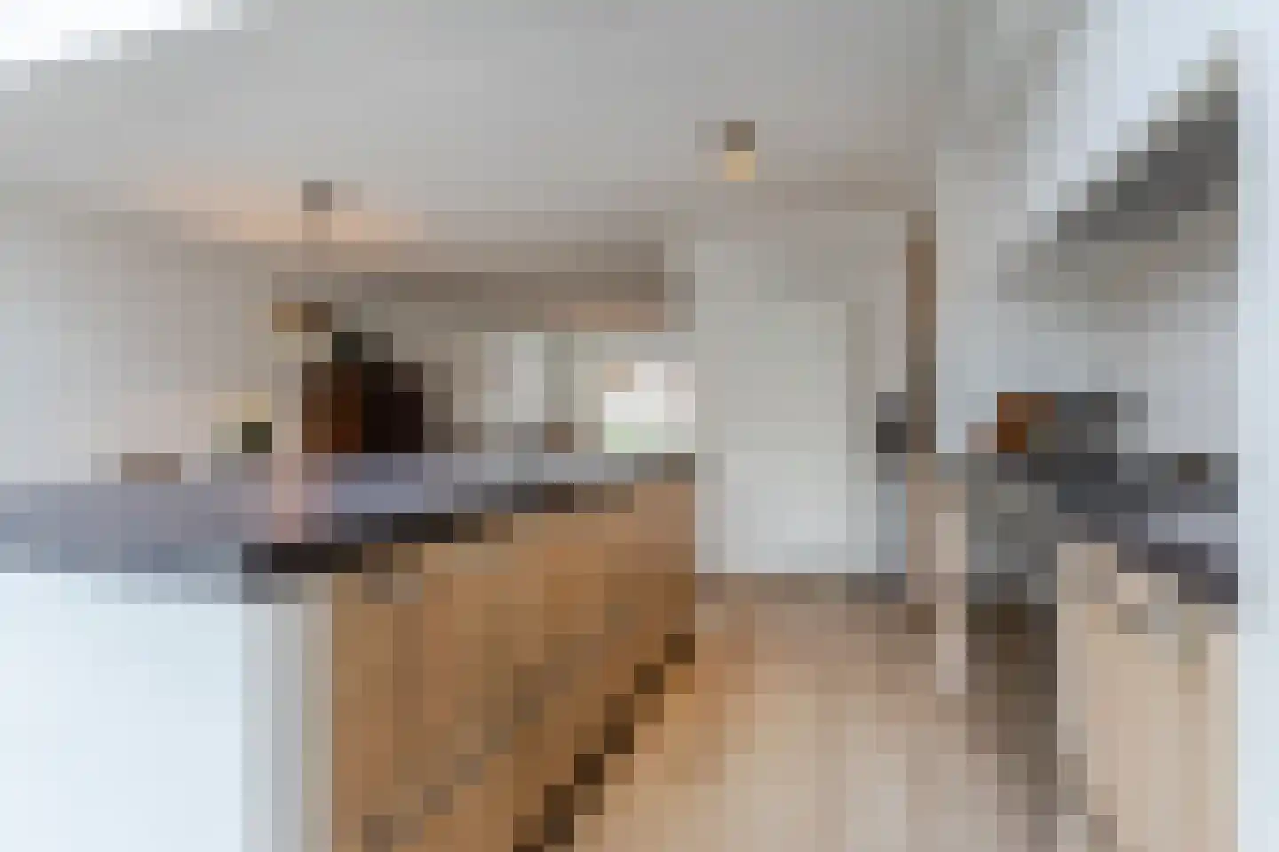 Roald Dahllaan 2 Eindhoven thumbnail 18