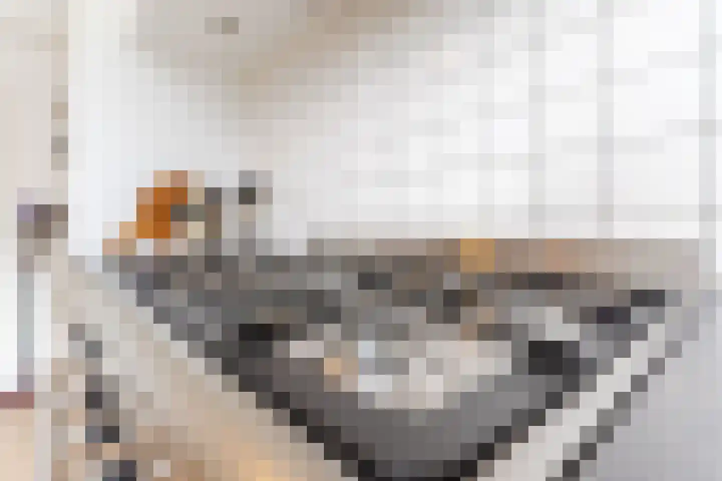 Roald Dahllaan 2 Eindhoven thumbnail 21