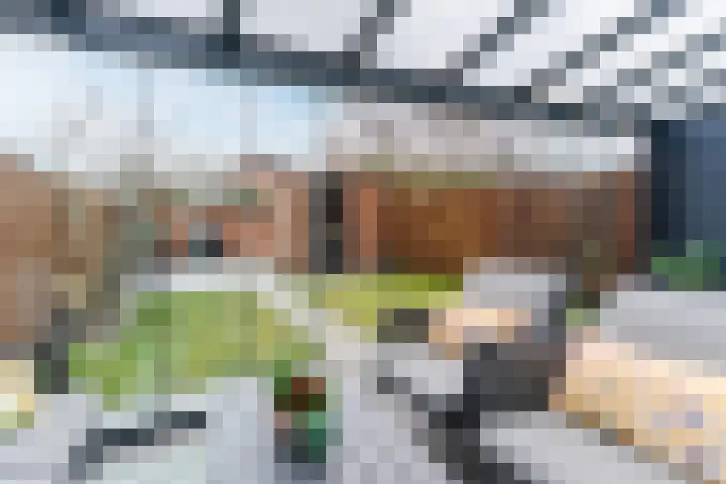 Roald Dahllaan 2 Eindhoven thumbnail 48