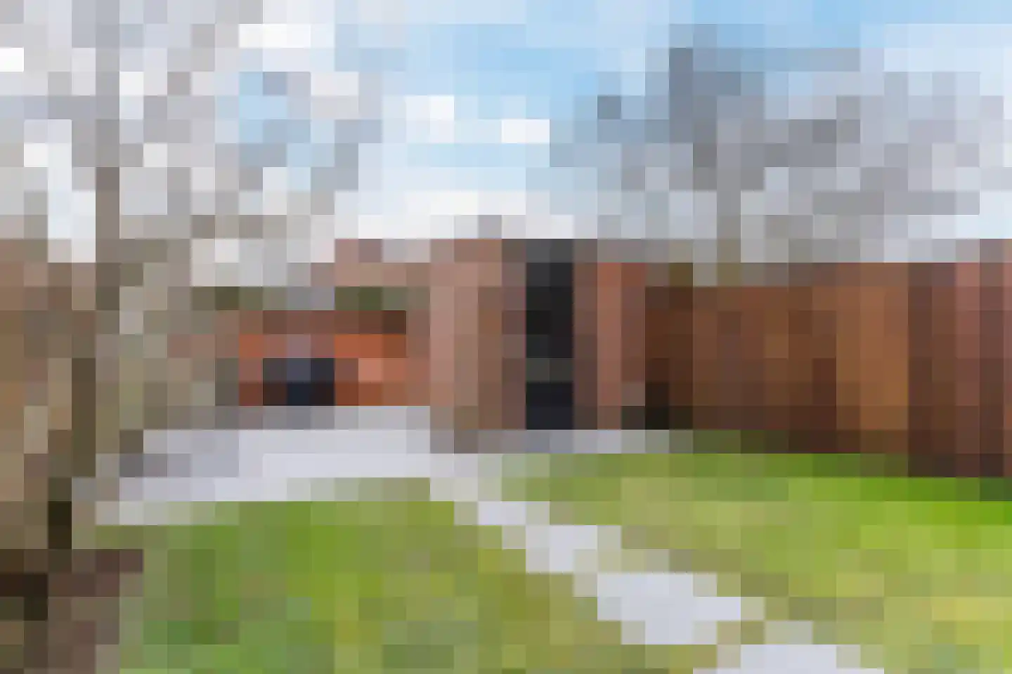 Roald Dahllaan 2 Eindhoven thumbnail 49