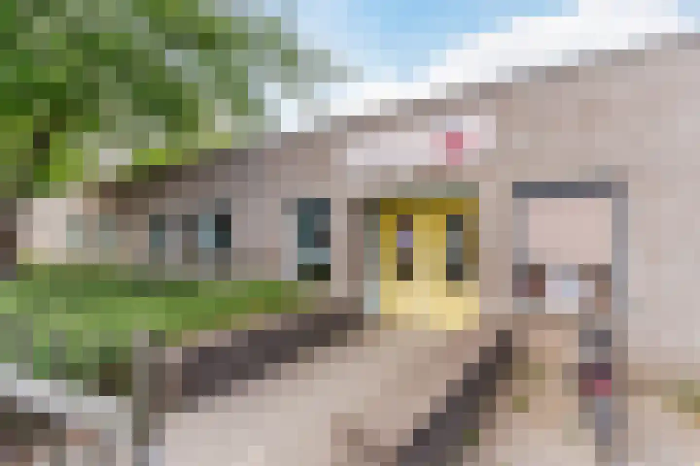 Roald Dahllaan 2 Eindhoven thumbnail 59