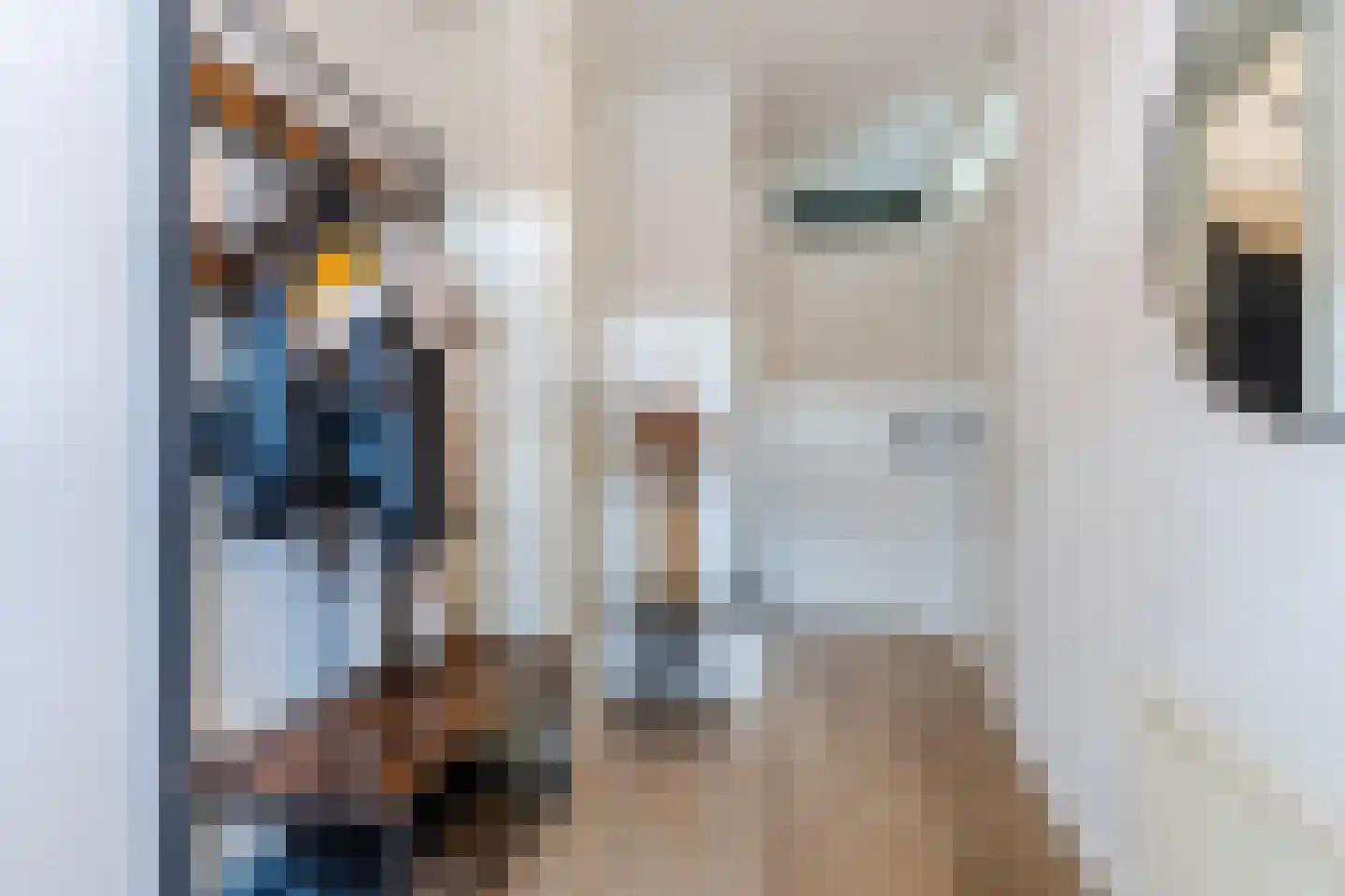 Roald Dahllaan 2 Eindhoven thumbnail 8