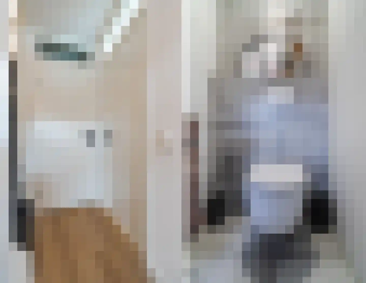 Roald Dahllaan 2 Eindhoven thumbnail 9
