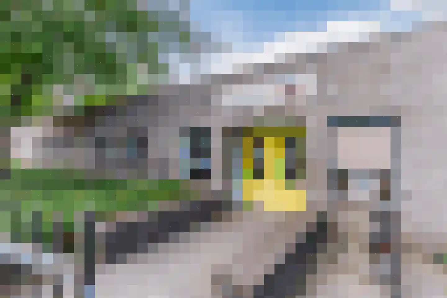 Roald Dahllaan 49 Eindhoven thumbnail 63
