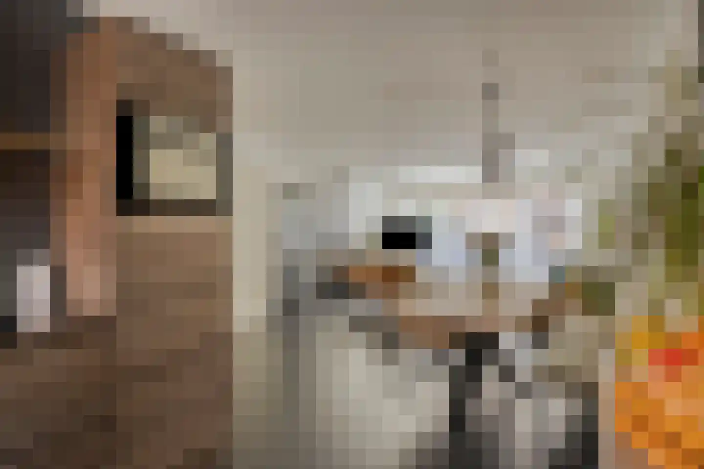 Roald Dahllaan 5 Eindhoven thumbnail 16