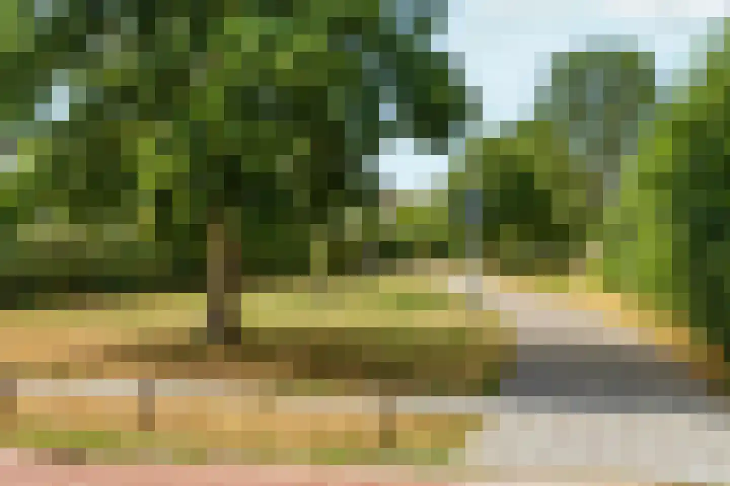 Roald Dahlpad 1 Arnhem thumbnail 51