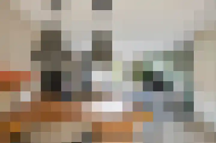 Roald Dahlpad 7 Arnhem thumbnail 12