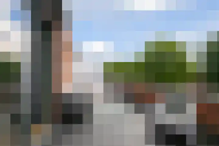 Roald Dahlpad 7 Arnhem thumbnail 31