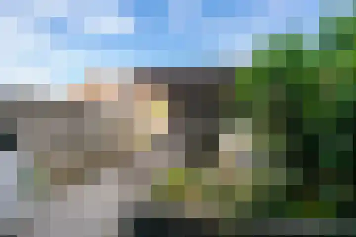 Roald Dahlpad 7 Arnhem thumbnail 34