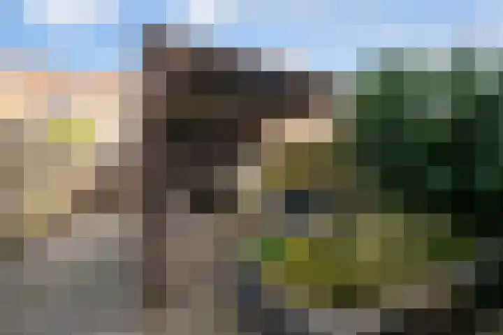 Roald Dahlpad 7 Arnhem thumbnail 35