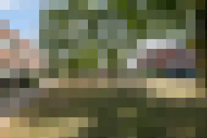 Roald Dahlpad 7 Arnhem thumbnail 41
