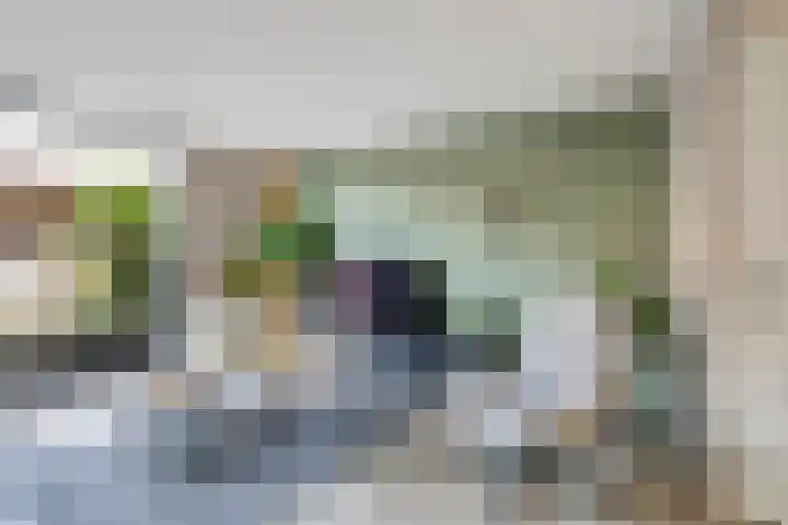 Roald Dahlpad 7 Arnhem thumbnail 6