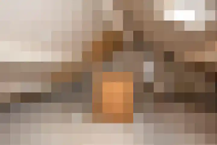 Rob de Vriesstraat 14 Hengelo thumbnail 17