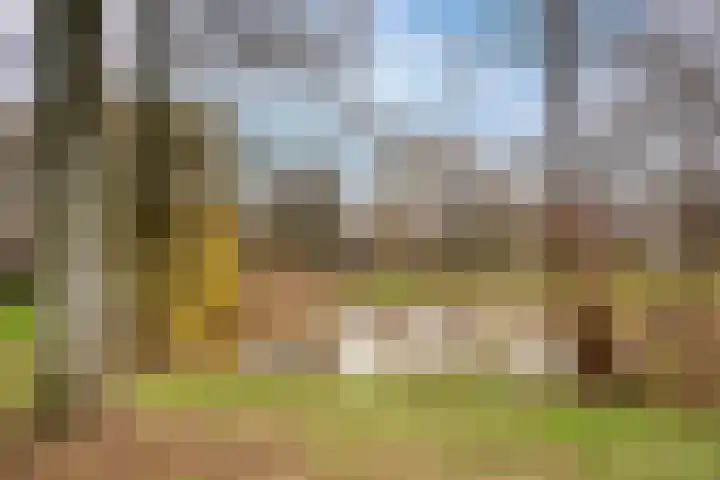 Rob de Vriesstraat 14 Hengelo thumbnail 21