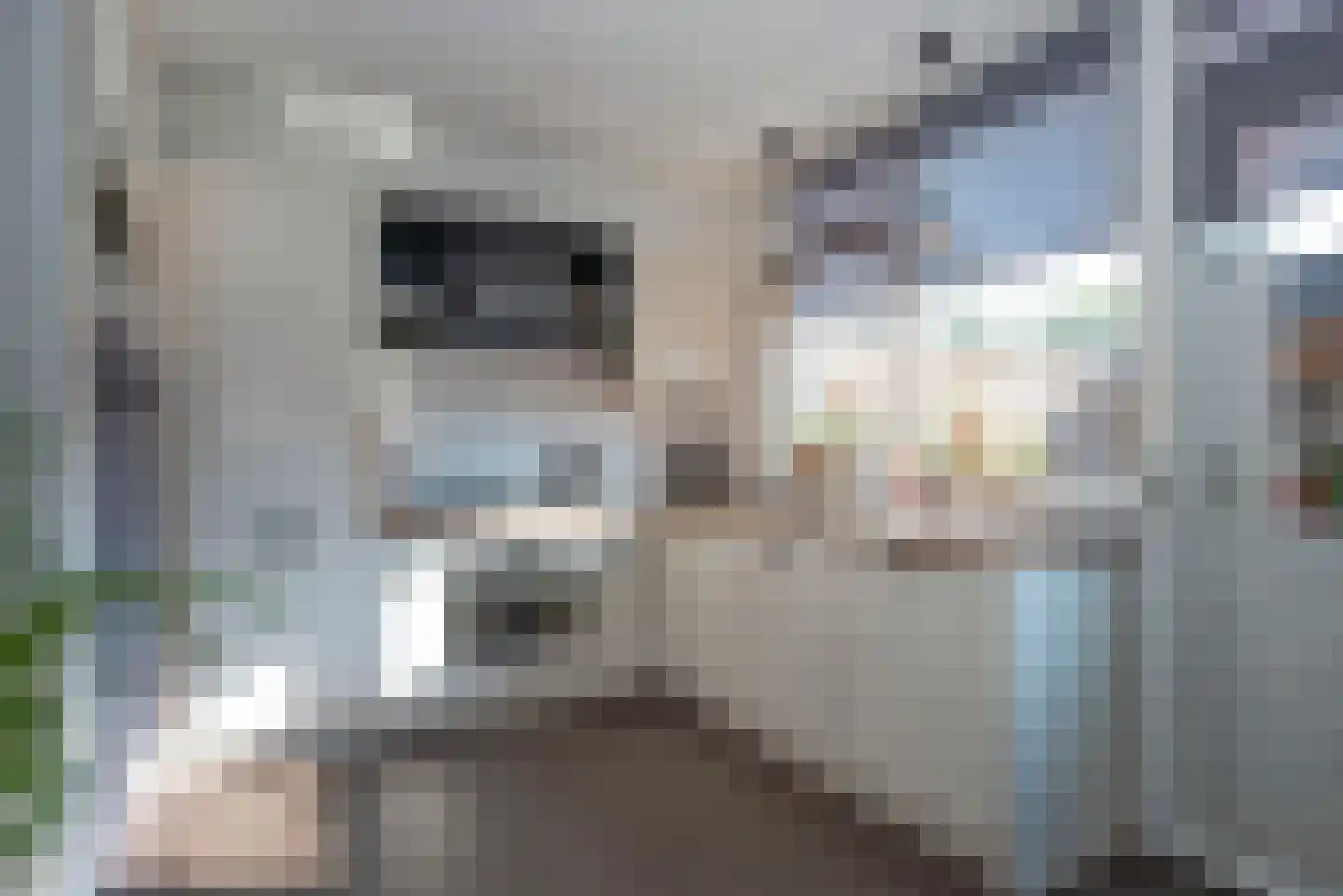 Rob de Vriesstraat 181 Hengelo thumbnail 10