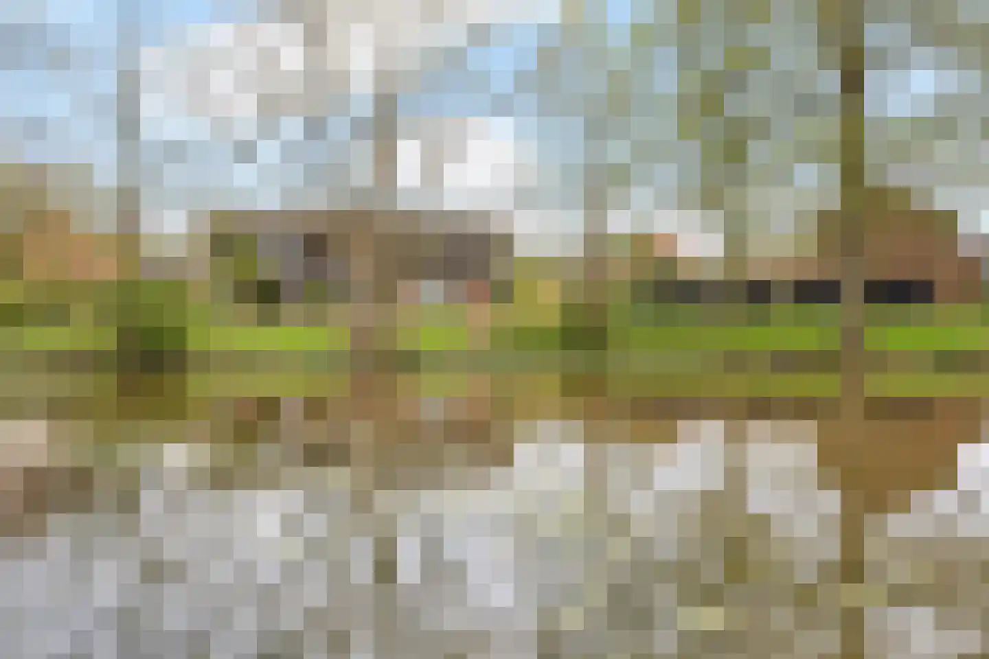 Rob de Vriesstraat 20 Hengelo thumbnail 33