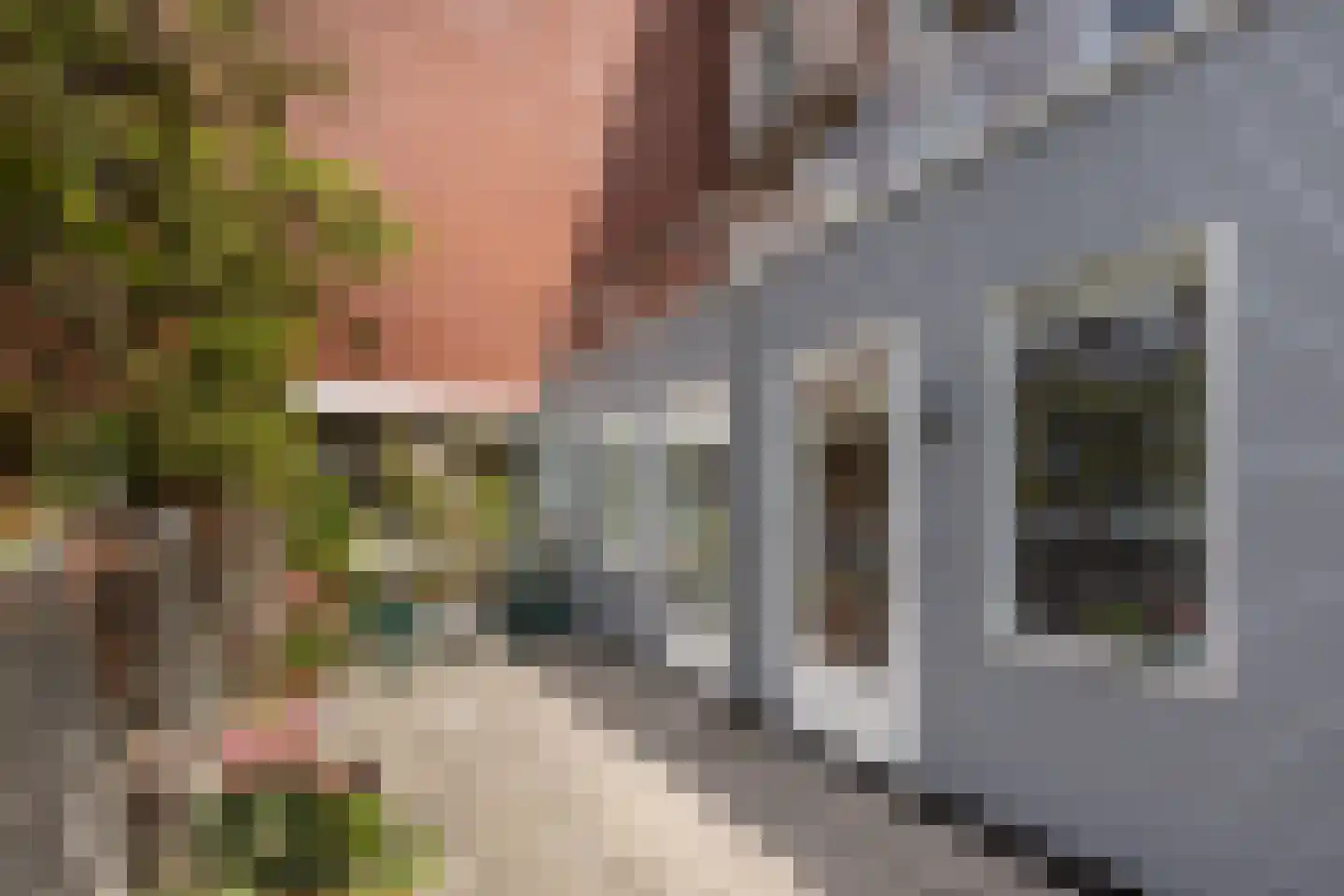 Rob Slotemakerstraat 2 Haarlem thumbnail 20