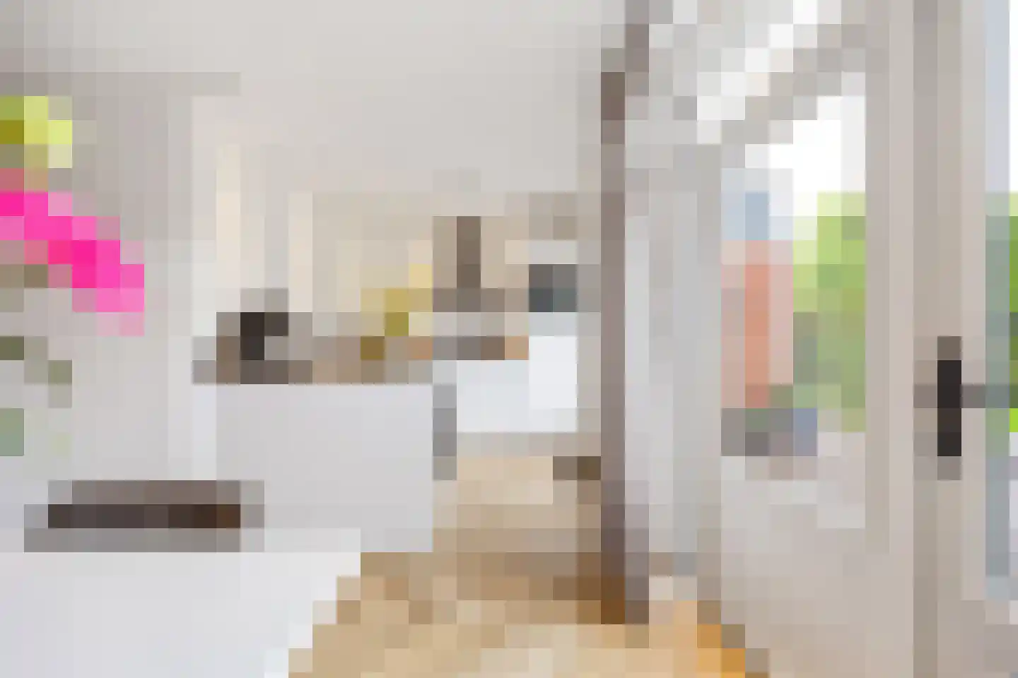 Robbekampen 1 Dreumel thumbnail 16