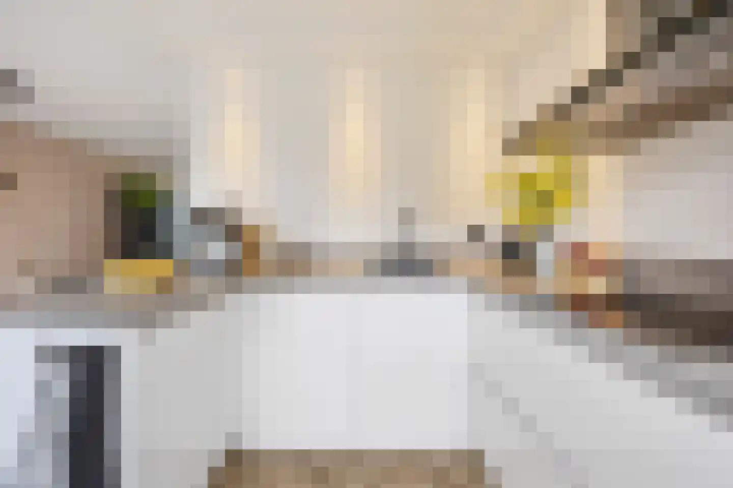 Robbekampen 1 Dreumel thumbnail 23
