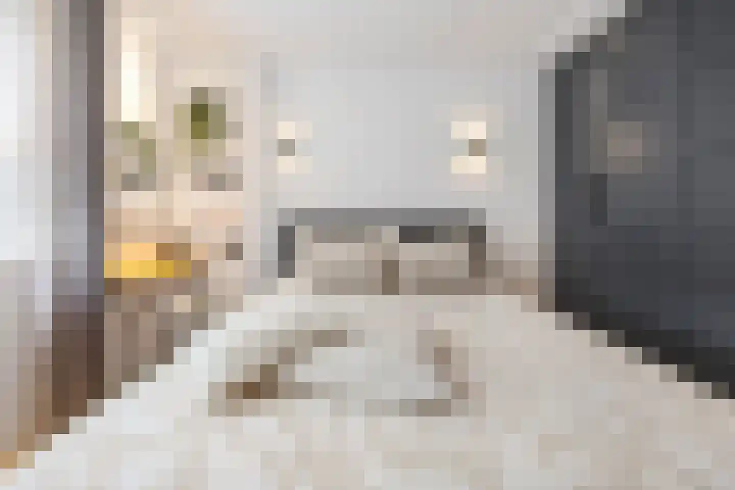 Robbekampen 1 Dreumel thumbnail 31