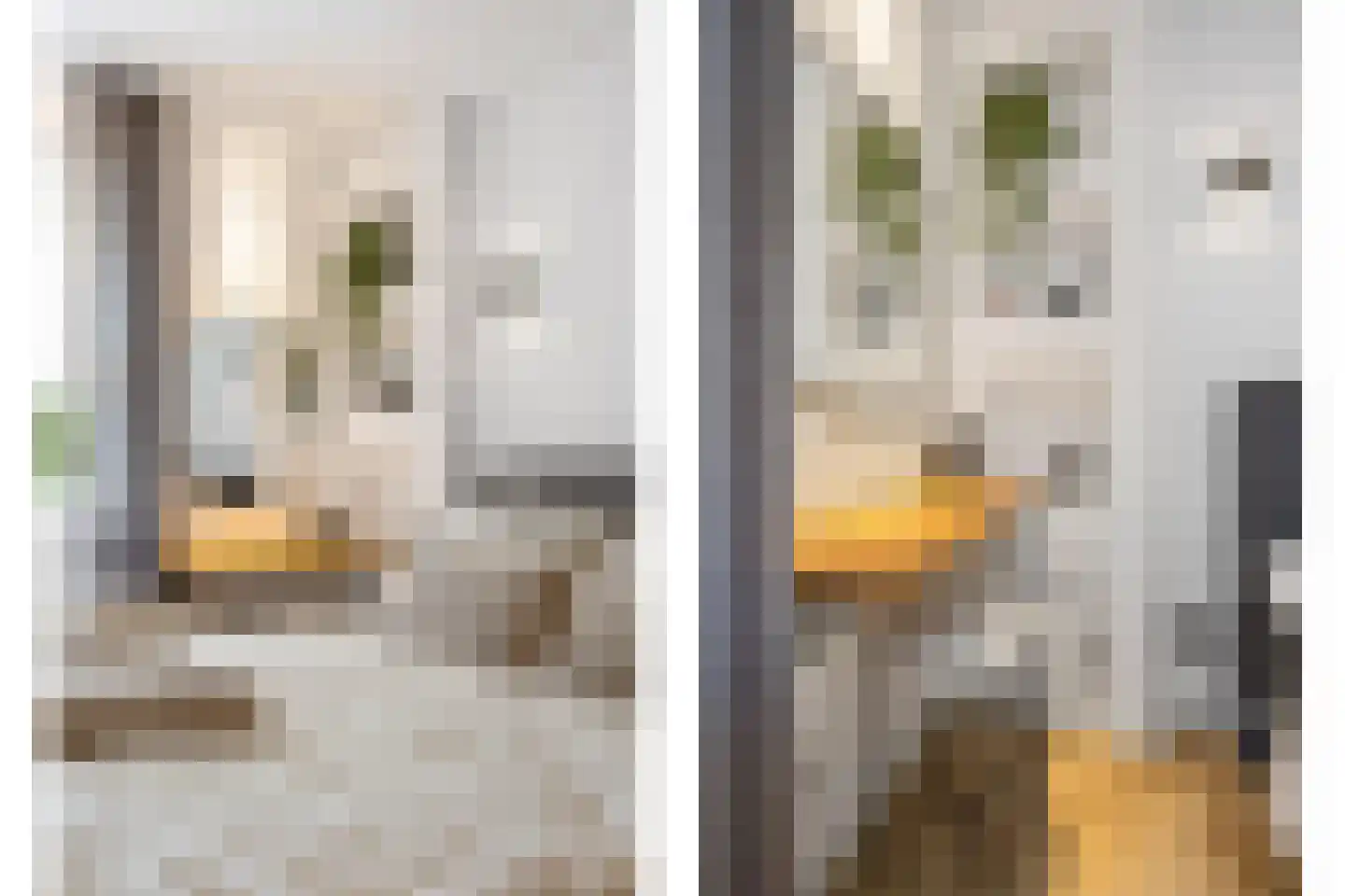 Robbekampen 1 Dreumel thumbnail 33