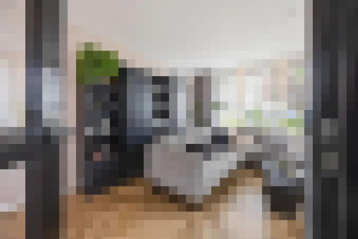 Robbekampen 1 Dreumel thumbnail 5
