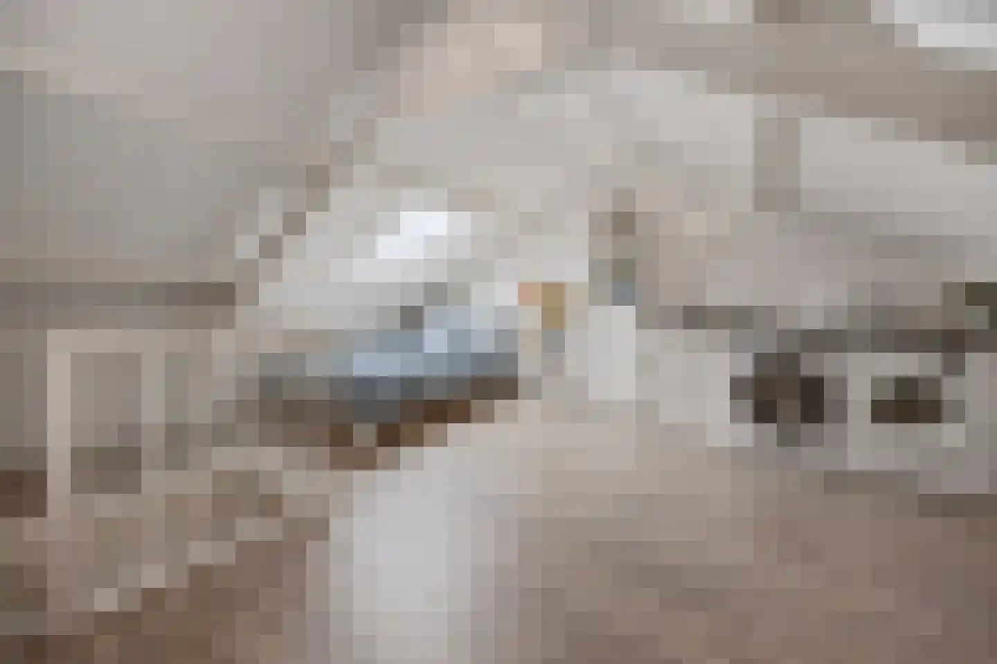 Robbekampen 1 Dreumel thumbnail 52