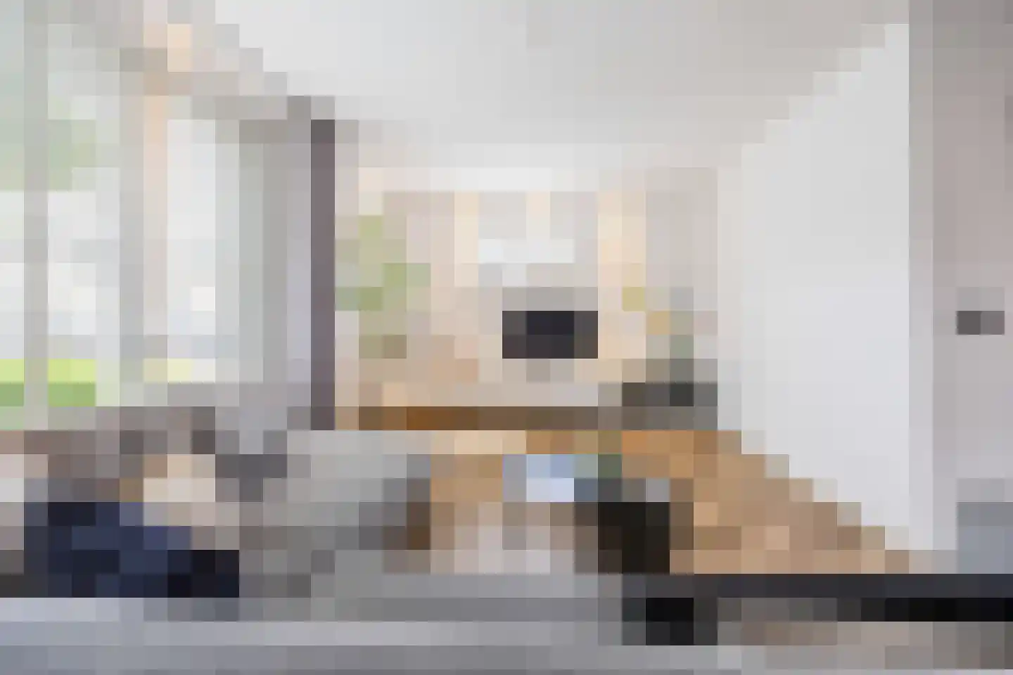 Robbekampen 1 Dreumel thumbnail 7