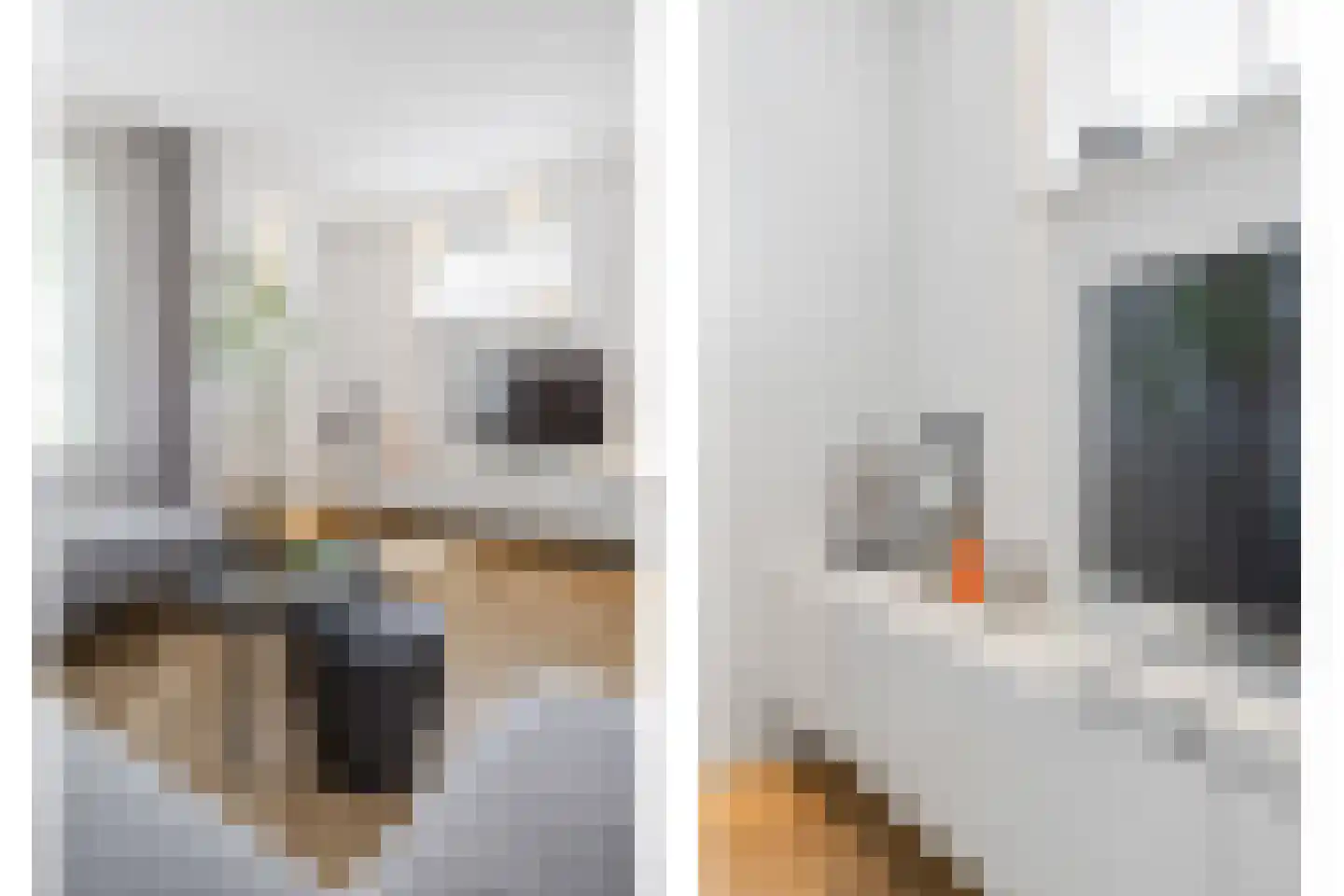 Robbekampen 1 Dreumel thumbnail 8