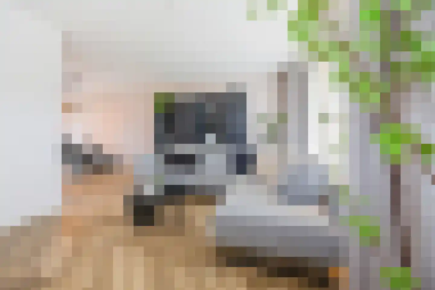 Robbekampen 1 Dreumel thumbnail 9