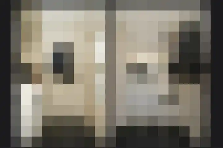 Robbekampen 12 Dreumel thumbnail 10