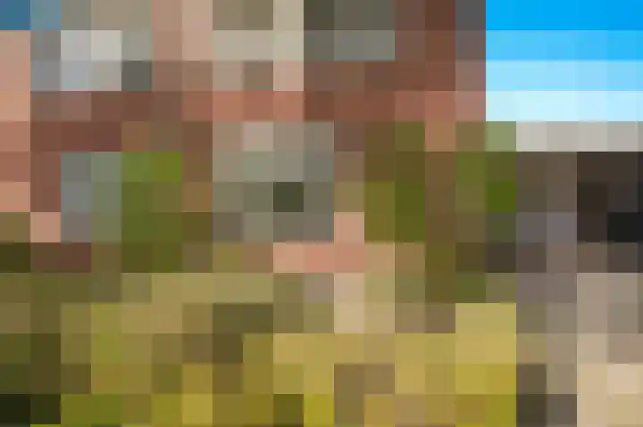 Robbekampen 3 Dreumel thumbnail 35