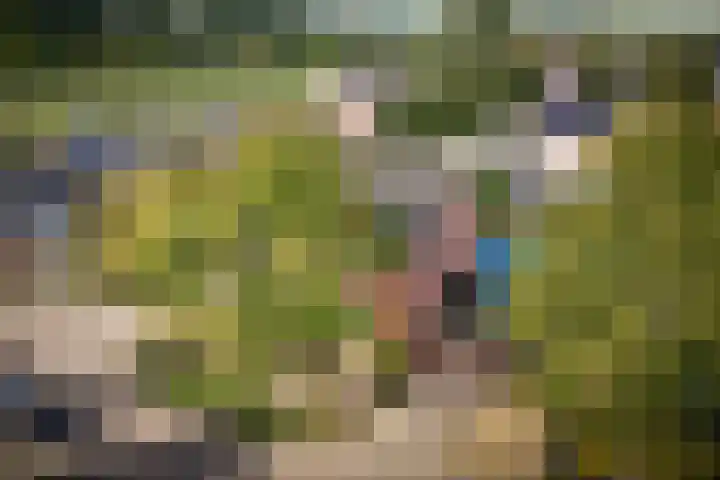 Robbekampen 3 Dreumel thumbnail 38