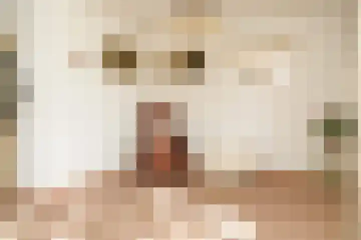 Robbekampen 3 Dreumel thumbnail 5