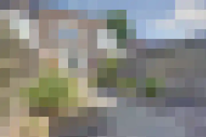 Robbekampen 8 Dreumel thumbnail 26