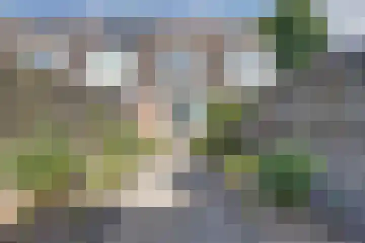 Robbekampen 8 Dreumel thumbnail 27