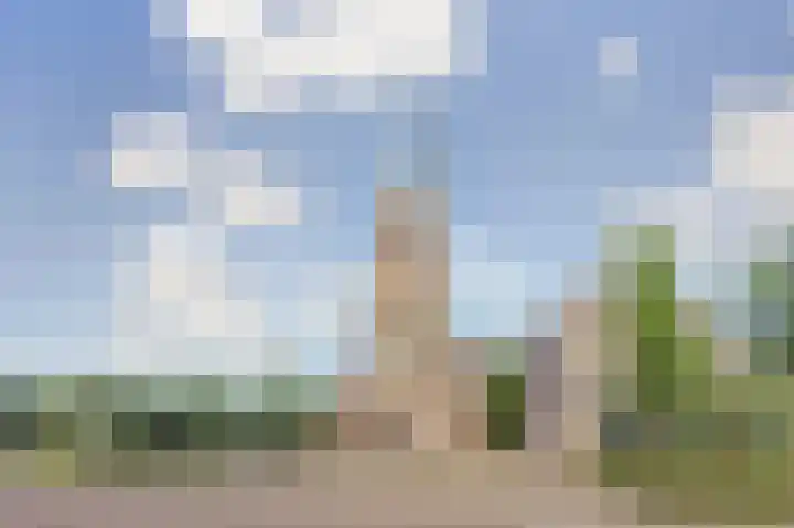 Robbekampen 8 Dreumel thumbnail 31