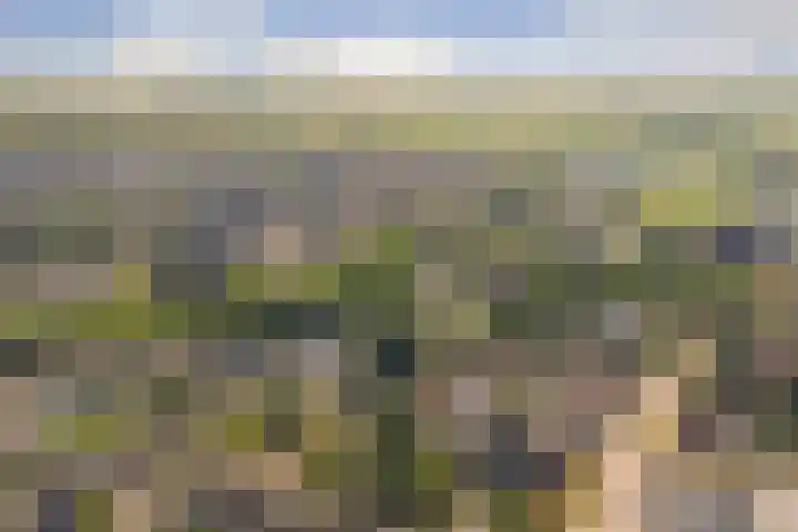 Robbekampen 8 Dreumel thumbnail 32