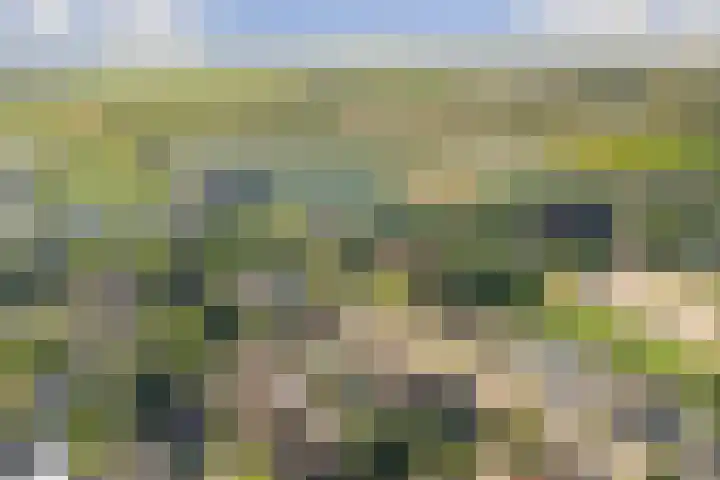 Robbekampen 8 Dreumel thumbnail 35